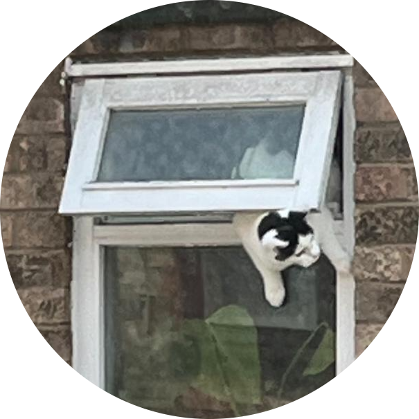 2025: Stories & Strains